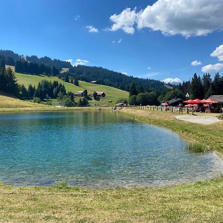 Chaleureux Appartement Renove Ambiance Chalet Praz-sur-Arly Exterior foto