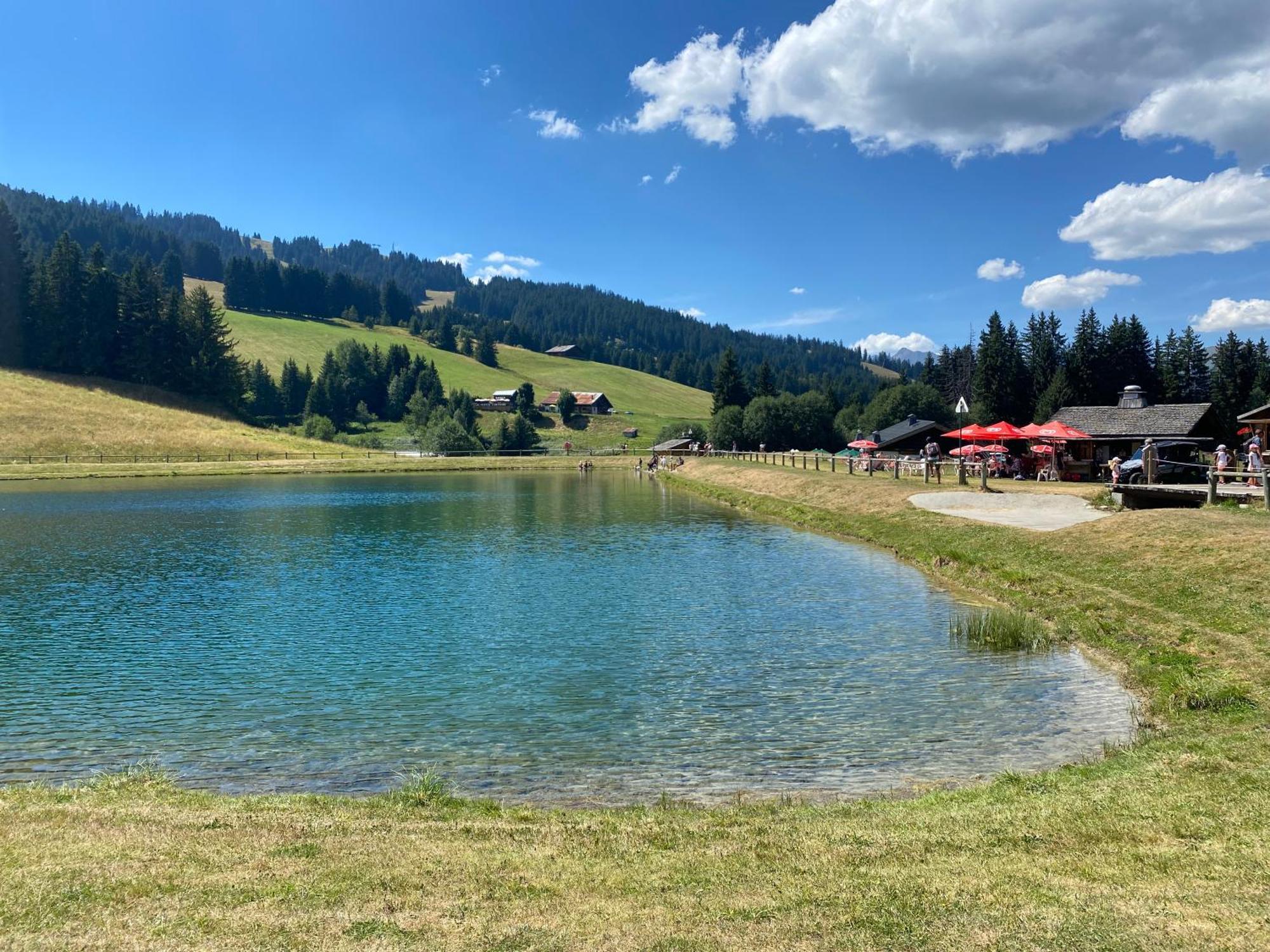 Chaleureux Appartement Renove Ambiance Chalet Praz-sur-Arly Exterior foto